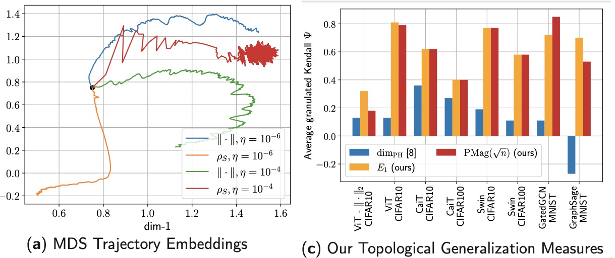 andreeva2024topological.jpg