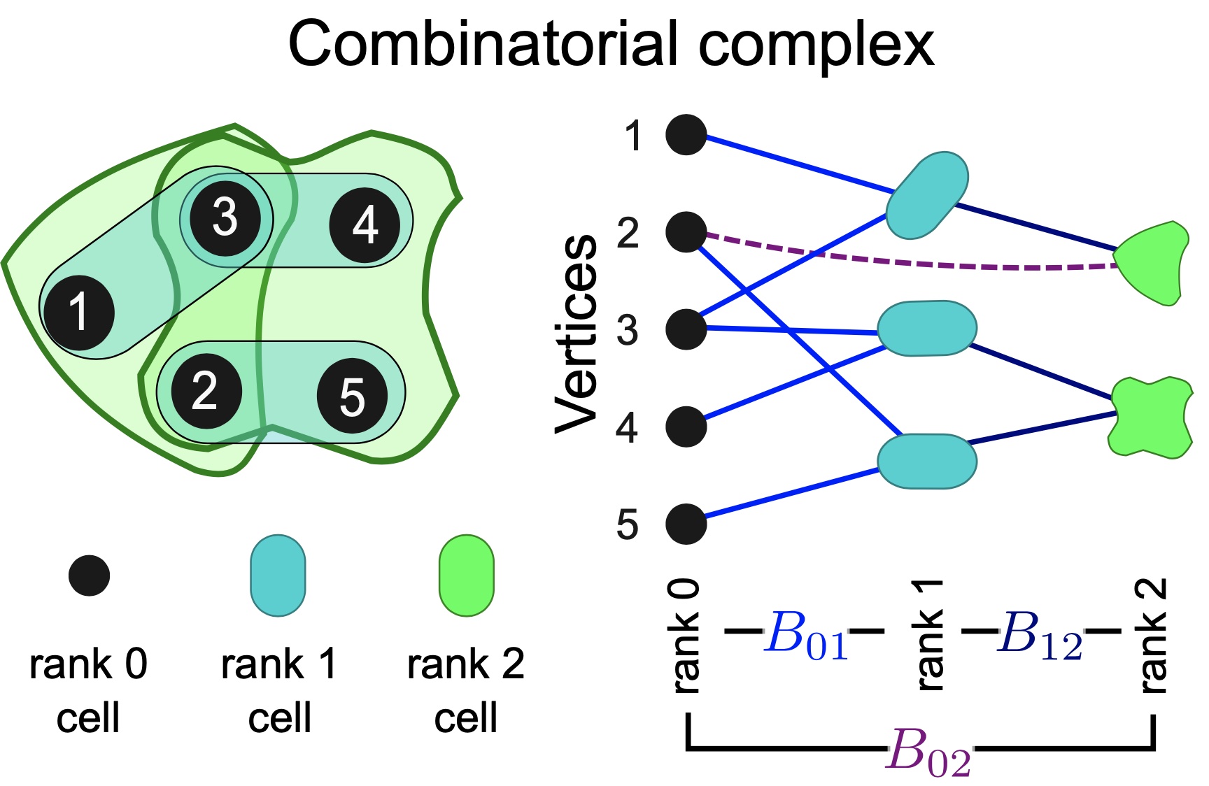 hajij2023combinatorial.jpg